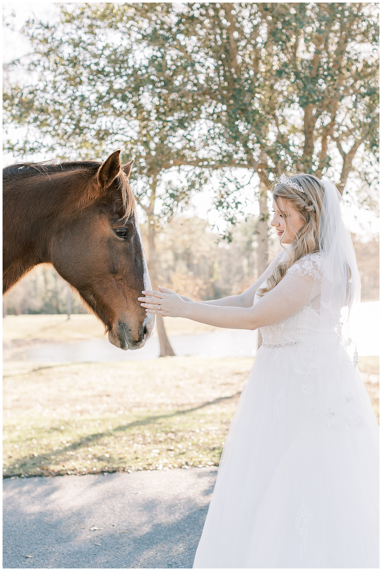 A bride pets a horse at Three Lakes Manor.