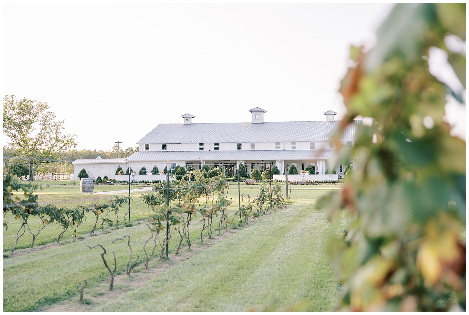 The venue sits between the vineyards at sunset.